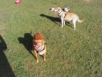 photos 2000-200902768